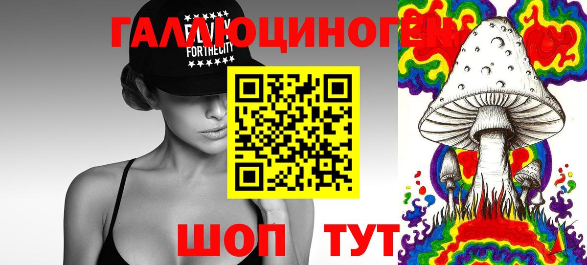 Сертолово  Псилоцибиновые грибы прущие грибы  наркотики  Вход с VPN 