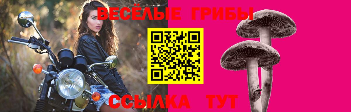 Псилоцибиновые грибы MAGIC MUSHROOMS Сертолово
